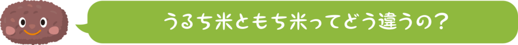 うるち米ともち米ってどう違うの？