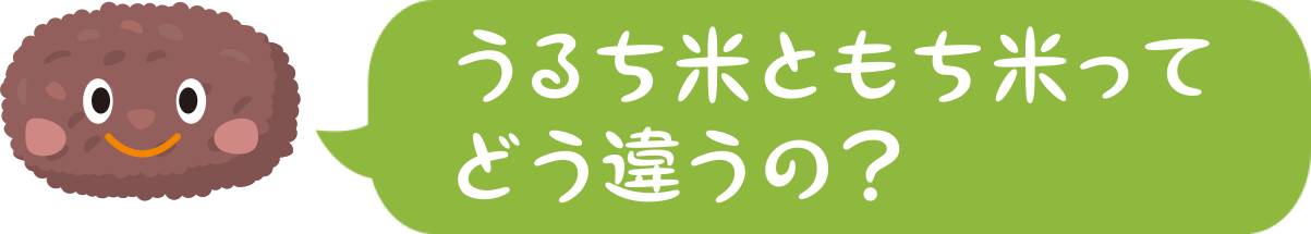 うるち米ともち米ってどう違うの？