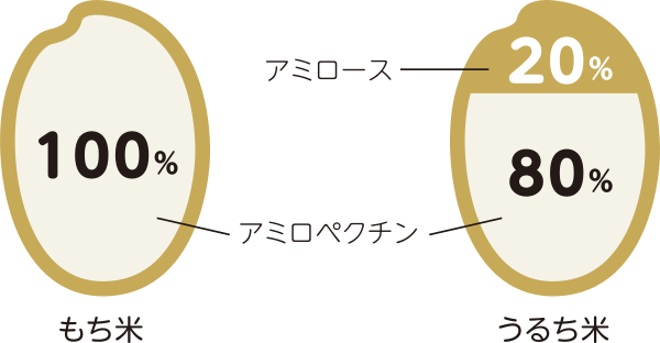 もち米とうるち米のデンプン