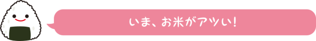 いま、お米がアツい！